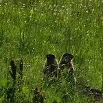 Bed and Breakfast Brigitte Hike & Bike 3*