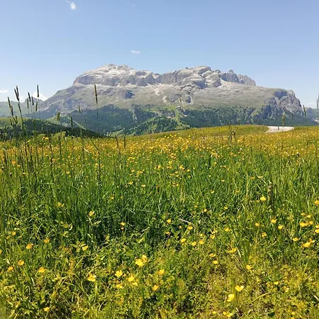 Bed & Breakfast Brigitte Hike & Bike Arabba