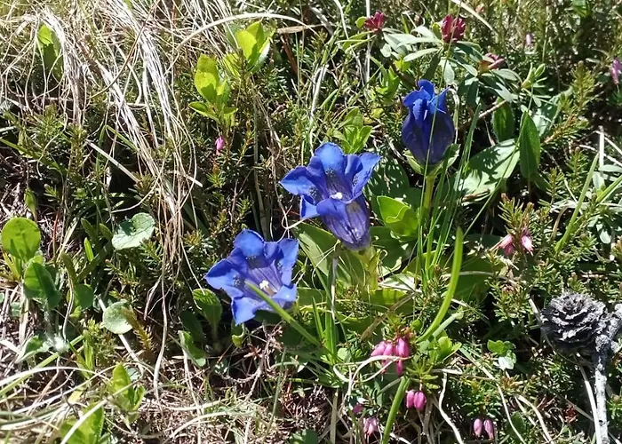 Brigitte Hike & Bike 3*