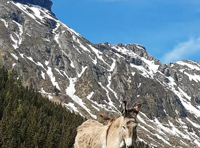 Brigitte Hike & Bike Bed & Breakfast 3*