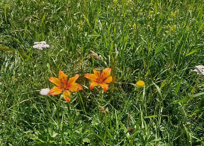 Brigitte Hike & Bike Bed & Breakfast