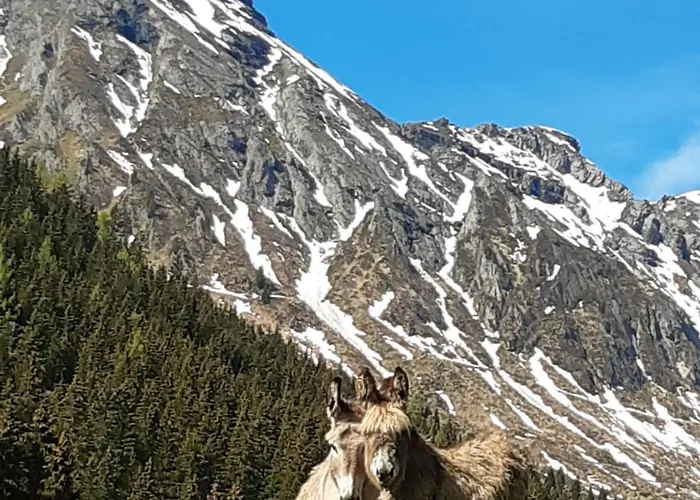 Brigitte Hike & Bike Bed & Breakfast 3*